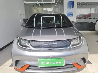 2021 BYD Dolphin 405km Freedom Edition, фото 3, лот 10260876