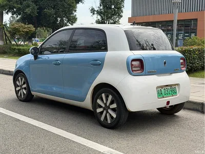 2021 Ora Black Cat 405km Long Range Model, фото 3, лот 11211261