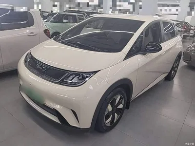2025 BYD Dolphin 420km Freedom Edition, фото 2, лот 10264280