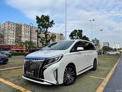 2021 GAC Trumpchi Trumpchi M8 Leading Show Series 390T Prestige Edition, фото 1, лот 10416850
