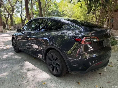 2024 Tesla Model Y Rear-Wheel Drive Version, фото 4, лот 10453253