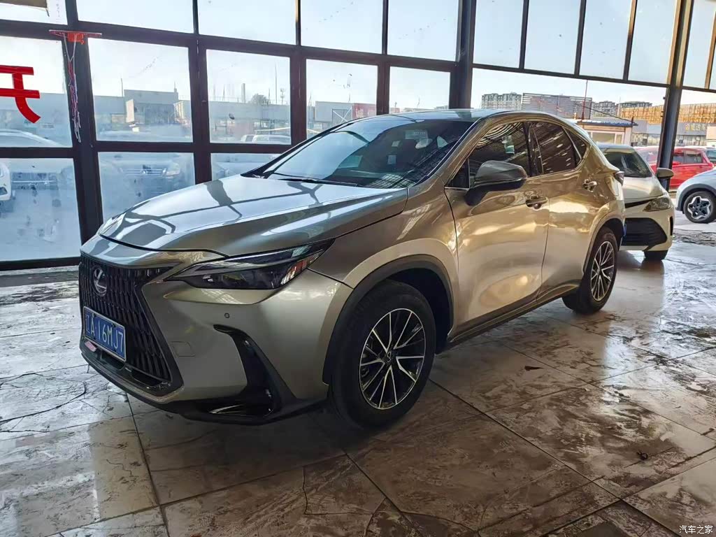 2024 Lexus NX 350h FWD Joy Creation Edition, фото 3, лот 11212584