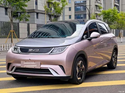 2021 BYD Dolphin Model 405km Fashion Edition, фото 1, лот 10249913