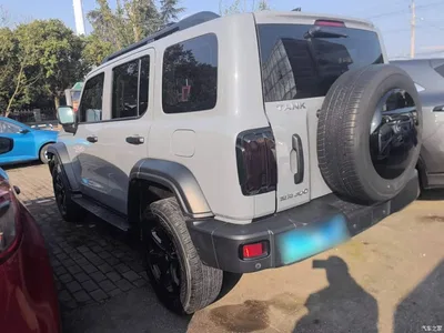 2021 Tank 300 Off-road Edition 2.0T Challenger, фото 4, лот 10345560