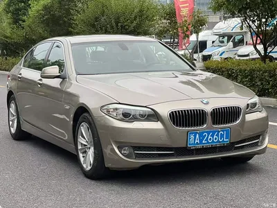 2011 BMW 5 Series 520Li Elegance, фото 3, лот 11073445
