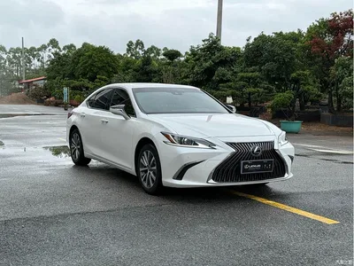 2020 Lexus ES 200 Excellence, фото 3, лот 10438196
