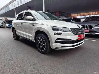 2022 Škoda Karoq TSI280 Premium Edition, фото 3, лот 10349284