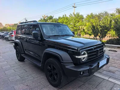 2023 Tank 300 Off-Road Edition 2.0T Conqueror, фото 3, лот 10615240