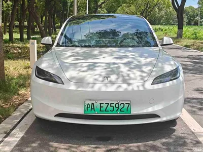 2023 Tesla Model 3 Rear-Wheel Drive, фото 1, лот 10368795
