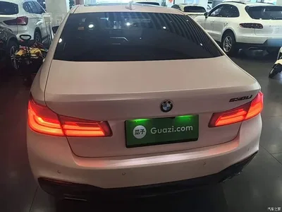 2020 BMW 5 Series 530Li Leading M Sport Package, фото 4, лот 11545985