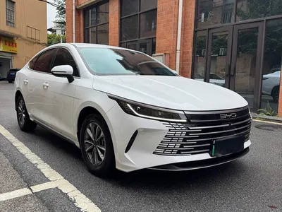 2023 BYD Destroyer 05 Champion Edition DM-i 55KM Luxury, фото 2, лот 10257358