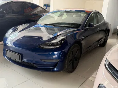 2019 Tesla Model 3 (Import) Long Range RWD Version, фото 1, лот 10358888