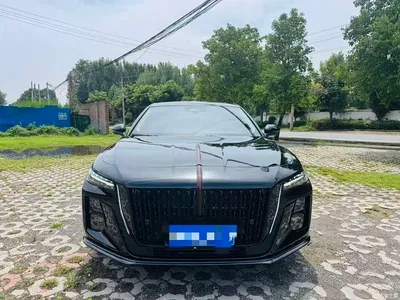 2025 Hongqi H5 2.0T Automatic Mystic Shadow, фото 2, лот 10288000