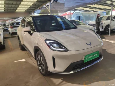2025 Wuling Motors Wuling Bingo S Model 325km Flagship Edition, фото 4, лот 10836137