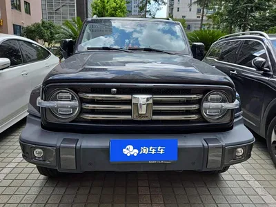 2021 Tank 300 Urban Edition 2.0T Stylish, фото 2, лот 10345220