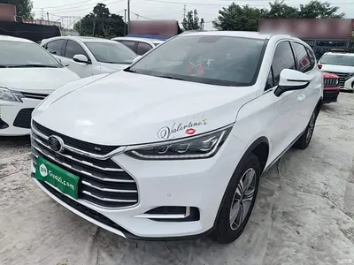 2019 BYD Tang 2.0T Automatic Smart Connect Drive 5-seater China VI, фото 1, лот 10293420