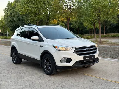 2019 Ford Kuga EcoBoost 180 2WD Platinum Wing Edition China VI, фото 3, лот 10296667