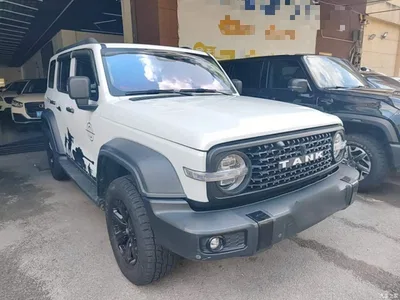 2021 Tank 300 Off-road Edition 2.0T Challenger, фото 4, лот 10284573