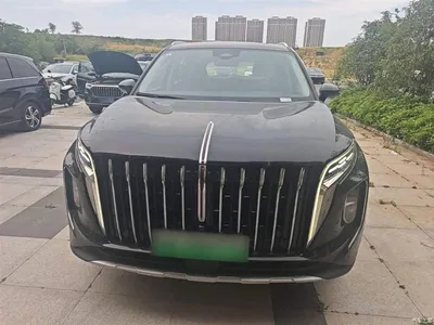 2024 Hongqi HS7 PHEV 2.0T PHEV AWD Qichang Edition 7-seater, фото 3, лот 10289961