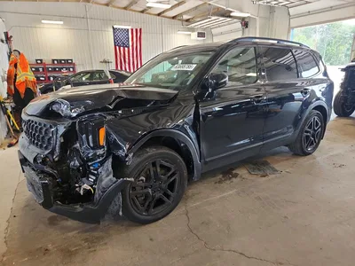 2025 KIA TELLURIDE SX-PRESTIGE X-LINE, фото 1, лот 10646776