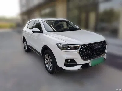 2021 Haval H6 National Trend Edition 1.5GDIT Automatic Champion Edition, фото 3, лот 10300805