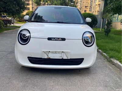 2023 Changan Qiyuan Changan Lumin Model 205km Fragrant Edition, фото 2, лот 10407839