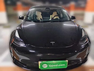 2022 Tesla Model 3 Model Rear-Wheel Drive Version, фото 2, лот 10387025