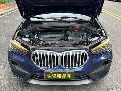 2020 BMW X1 sDrive20Li Fashion Model, фото 4, лот 10395833