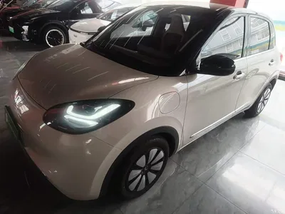 2024 Wuling Motors Wuling Bingo 333km Smart Connect Edition, фото 1, лот 10368780