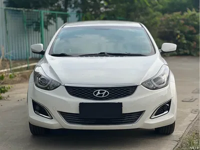 2016 Hyundai Langdong 1.6L Automatic Smart Edition, фото 2, лот 11180998