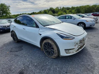 2022 TESLA MODEL Y, фото 4, лот 11185792