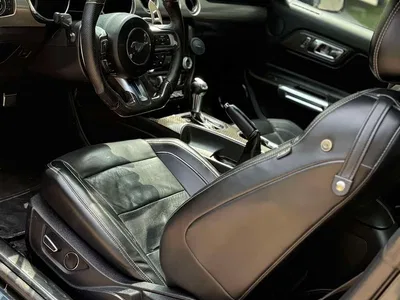 2015 Ford Mustang 2.3T 50th Anniversary Edition, фото 4, лот 10280232