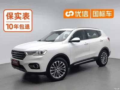 2017 Haval H6 Blue Label 2.0T Automatic 2WD Smart Edition, фото 1, лот 10282575