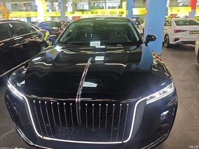2020 Hongqi H9 2.0T Smart Connection Qi Chang Edition, фото 3, лот 10289236