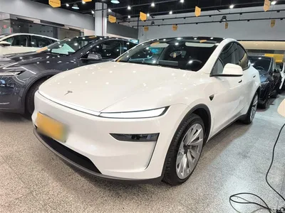 2025 Tesla Model Y Rear-Wheel Drive, фото 1, лот 10374295