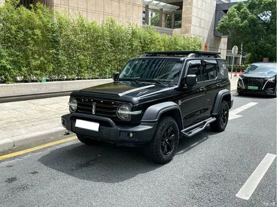 2021 Tank 300 Off-road Version 2.0T Conqueror, фото 1, лот 10344367