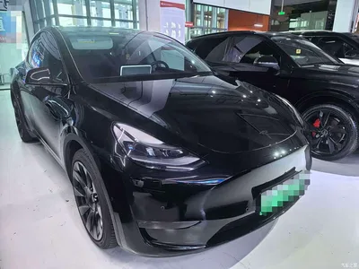 2021 Tesla Model Y Model Long Range AWD, фото 3, лот 10611697