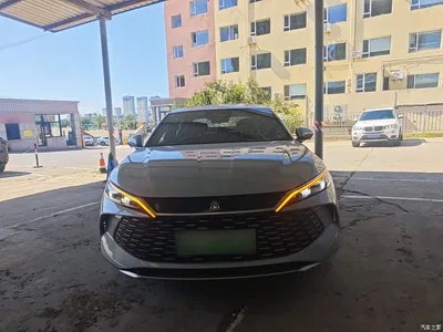2025 BYD Qin L DM-i Smart Drive Edition 120KM Surpassing, фото 3, лот 10258746