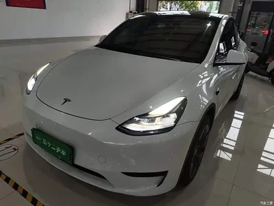 2024 Tesla Model Y Rear-Wheel Drive Version, фото 1, лот 10800771
