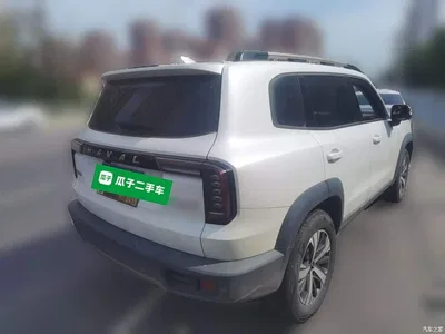 2021 Haval Big Dog 1.5T DCT 2WD Labrador Edition, фото 4, лот 10361698