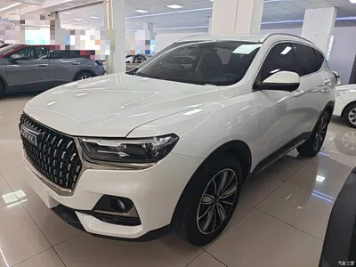 2023 Haval H6 National Trend Edition 1.5T Automatic Champion, фото 2, лот 10284236