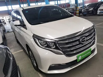 2020 GAC Trumpchi Trumpchi M8 390T Premium, фото 4, лот 11137565