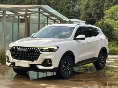 2023 Haval H6 National Trend Edition 1.5T Automatic Champion, фото 1, лот 10398227