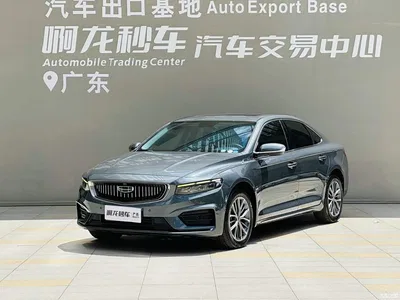 2021 Geely Xing Rui 2.0TD Luxury, фото 1, лот 10359845