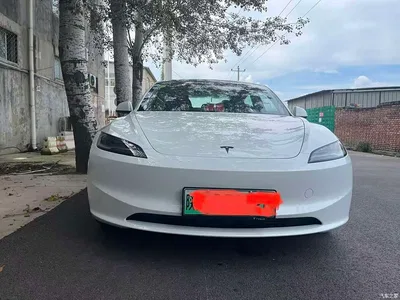 2025 Tesla Model 3 Model Year Facelift Rear-Wheel Drive, фото 3, лот 10368625