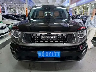 2023 Haval Da Gou 2nd Gen 2.0T 2WD Trendy Off-road Edition Plus, фото 2, лот 10667075