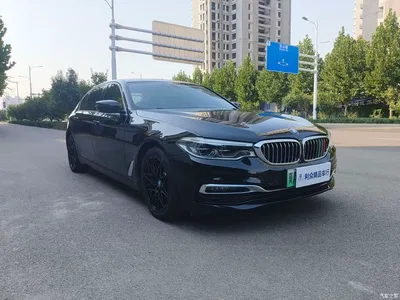 2019 BMW 5 Series New Energy 530Le Luxury Package, фото 3, лот 11449001