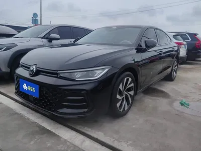 2025 Volkswagen Passat Pro 380TSI Starlight Dragon Glory Edition, фото 1, лот 10842173