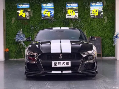 2022 Ford Mustang, фото 3, лот 10306081