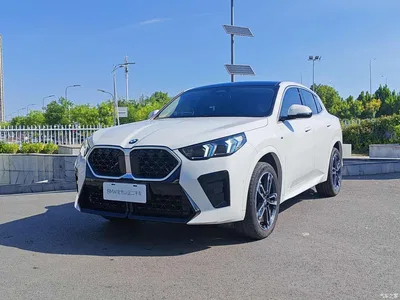 2024 BMW X2 (Import) sDrive25i M Sport Package, фото 1, лот 10429781